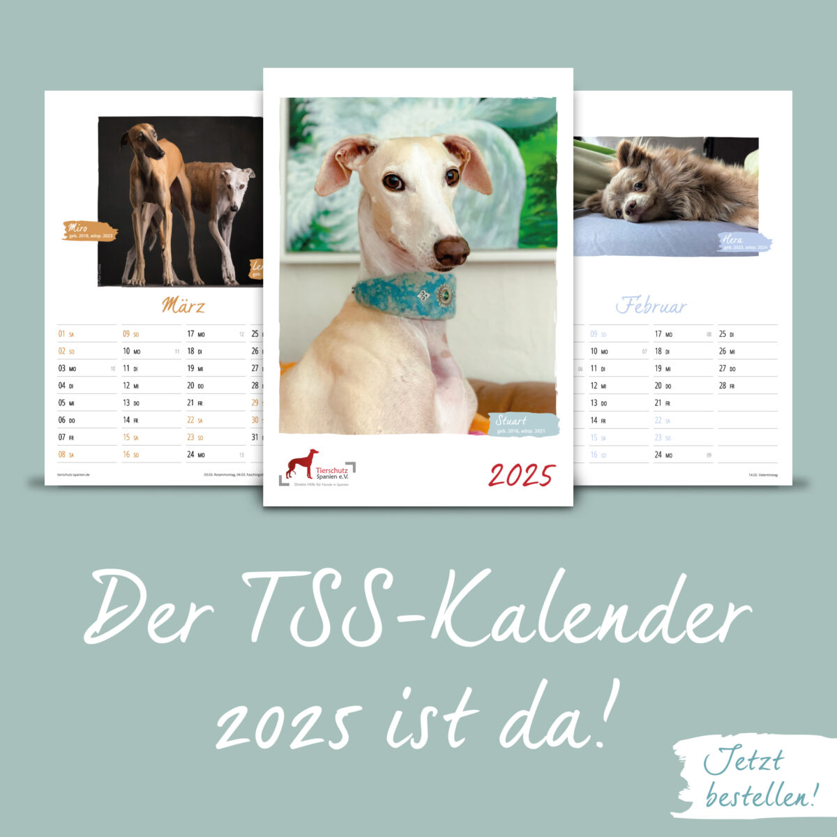 Wandkalender 2025