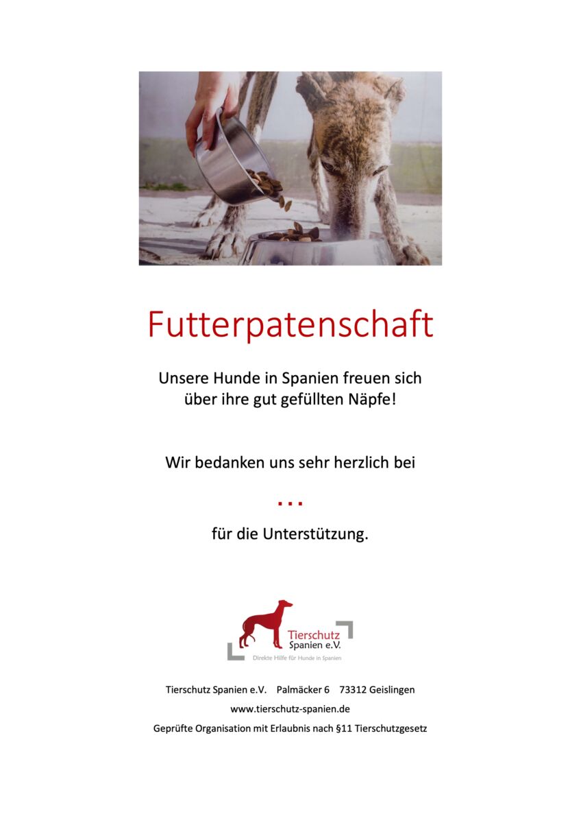 Patenschaft