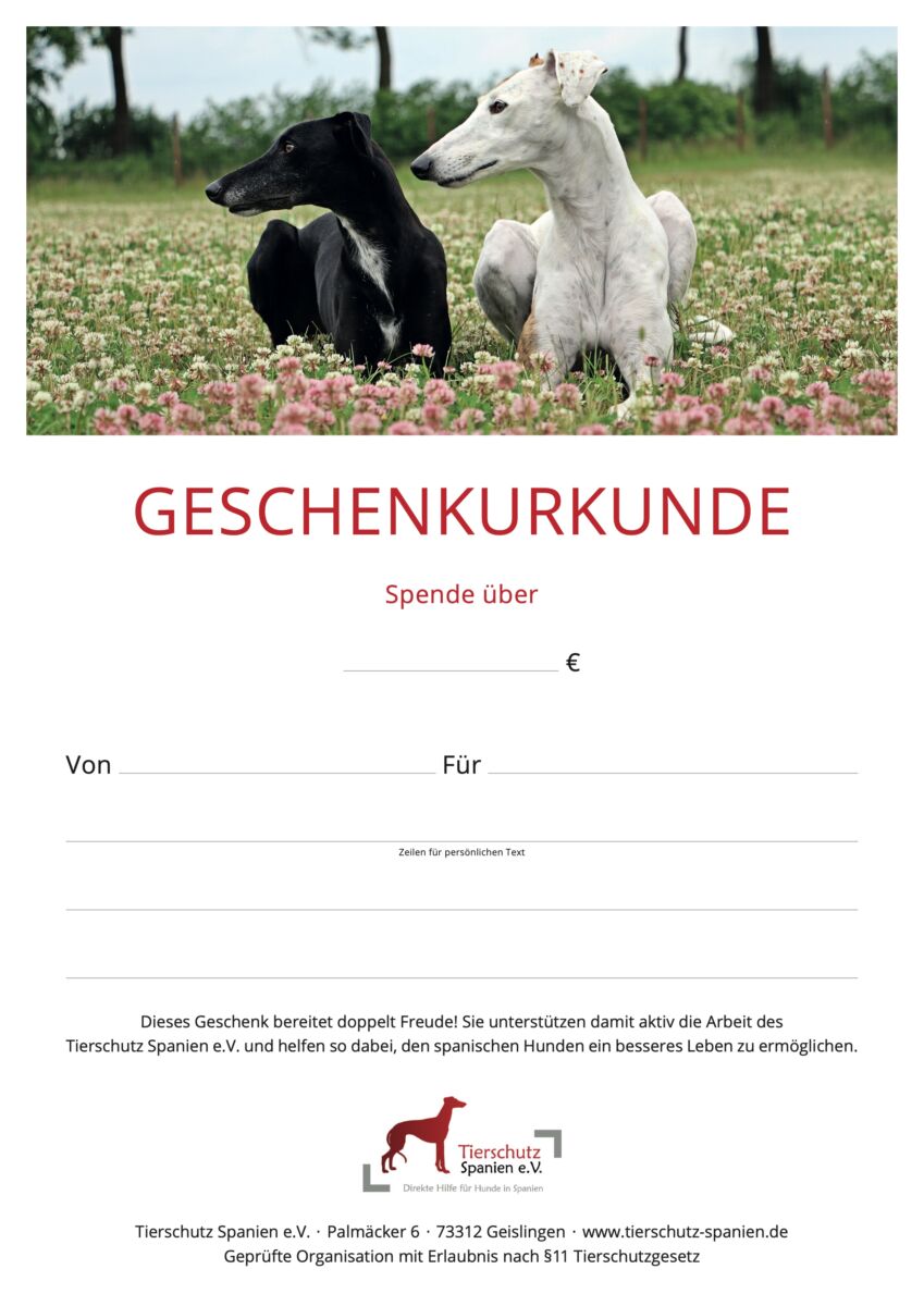 Geschenkurkunde