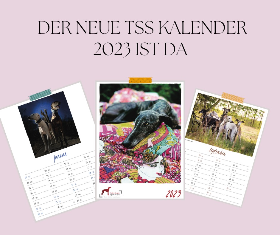 AUSVERKAUFT – Unser Kalender 2023 ist da!