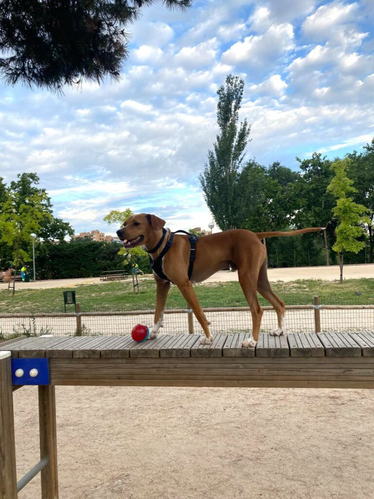 Chencho