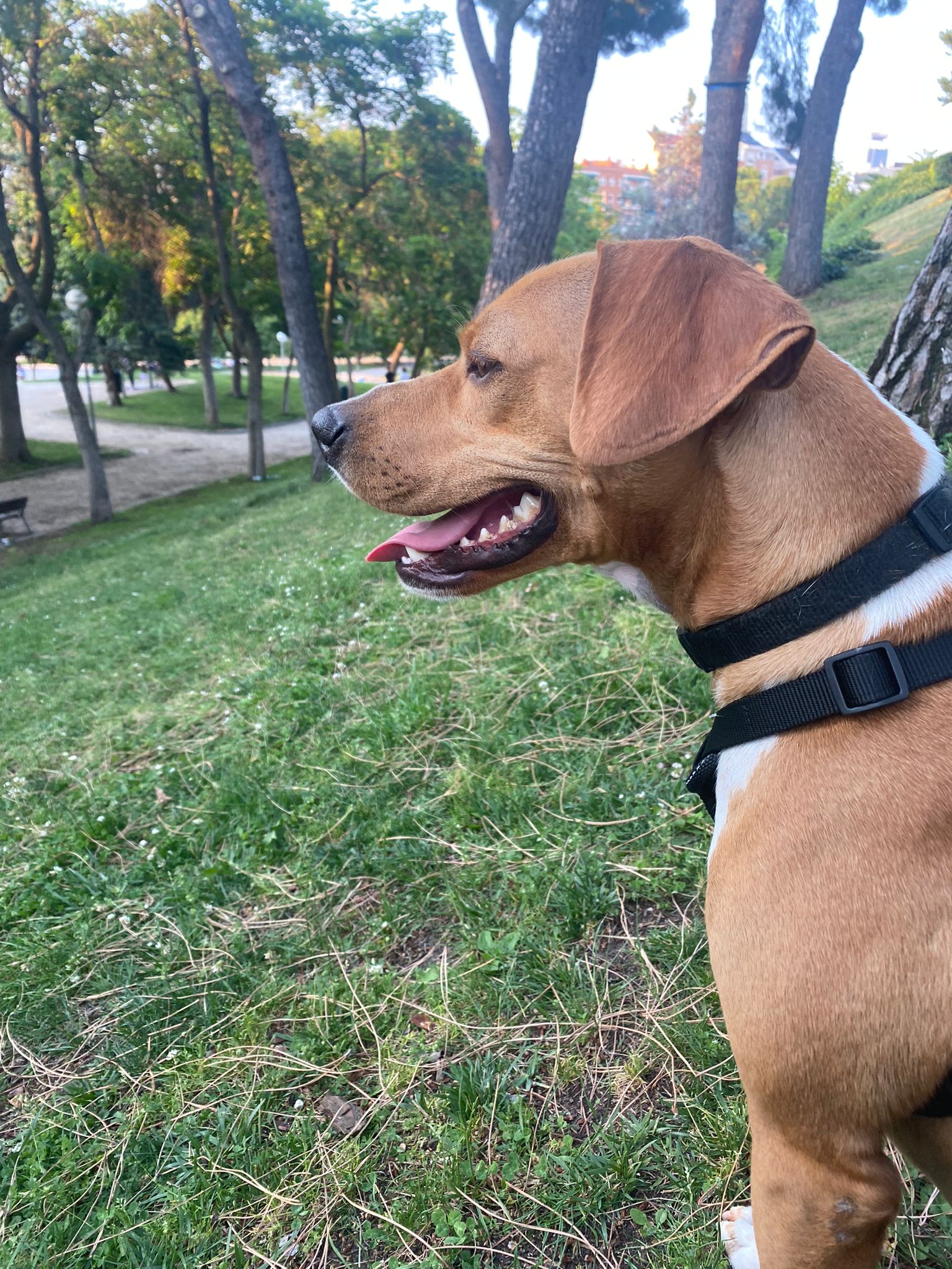 Chencho