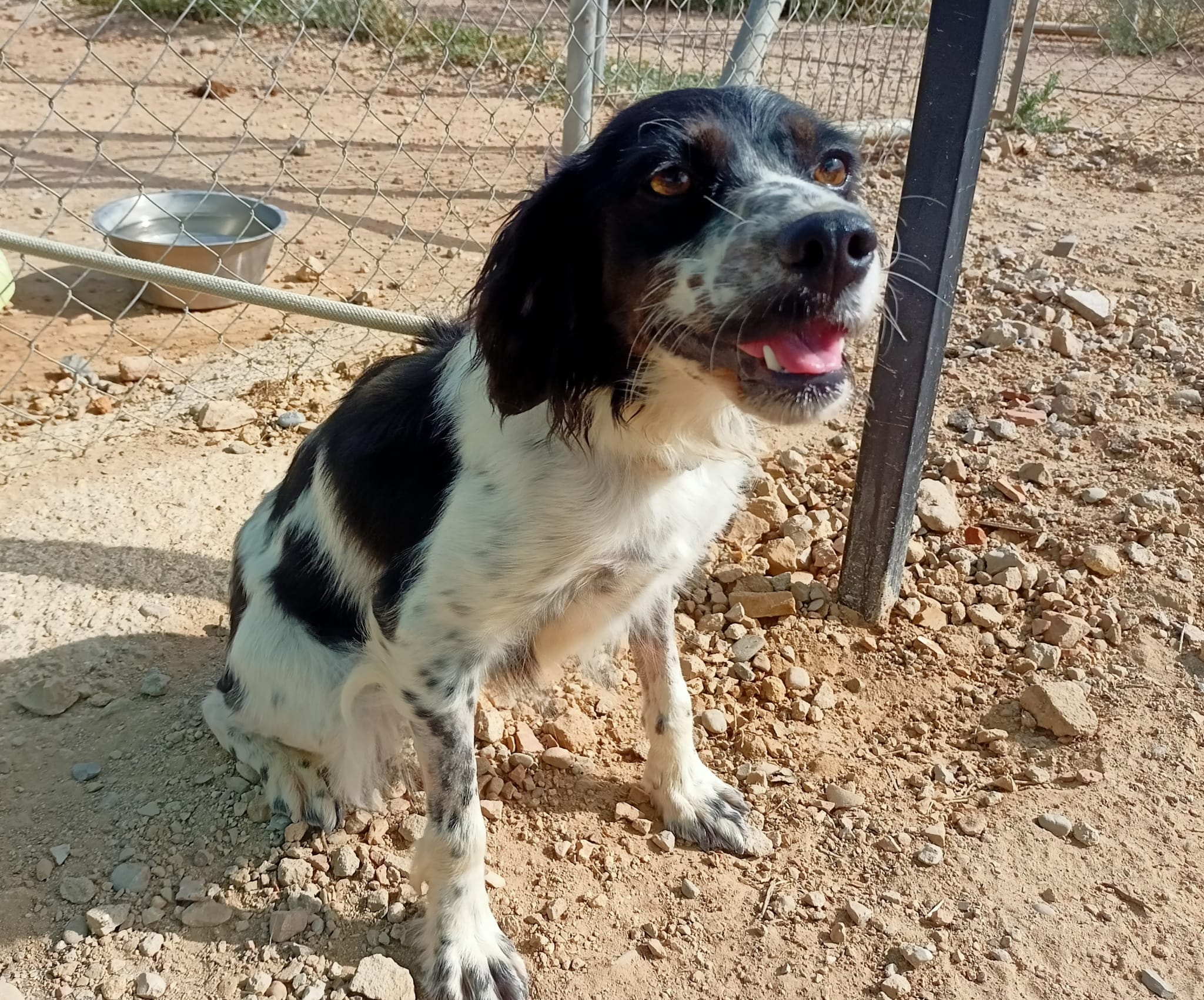 Leni