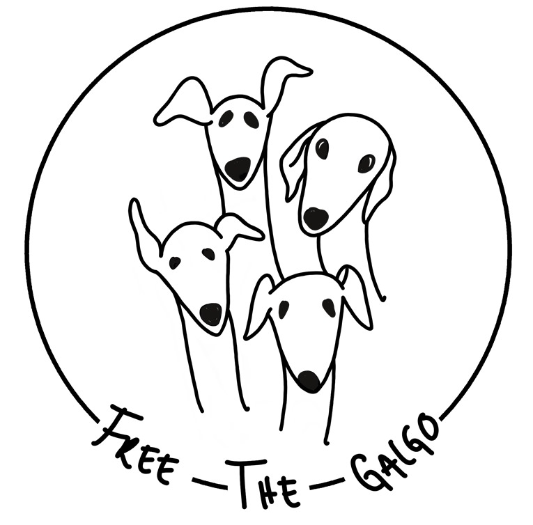 Freethegalgo.com – ein neues Netzwerk und informatives Portal über diese wundervolle Hunderasse