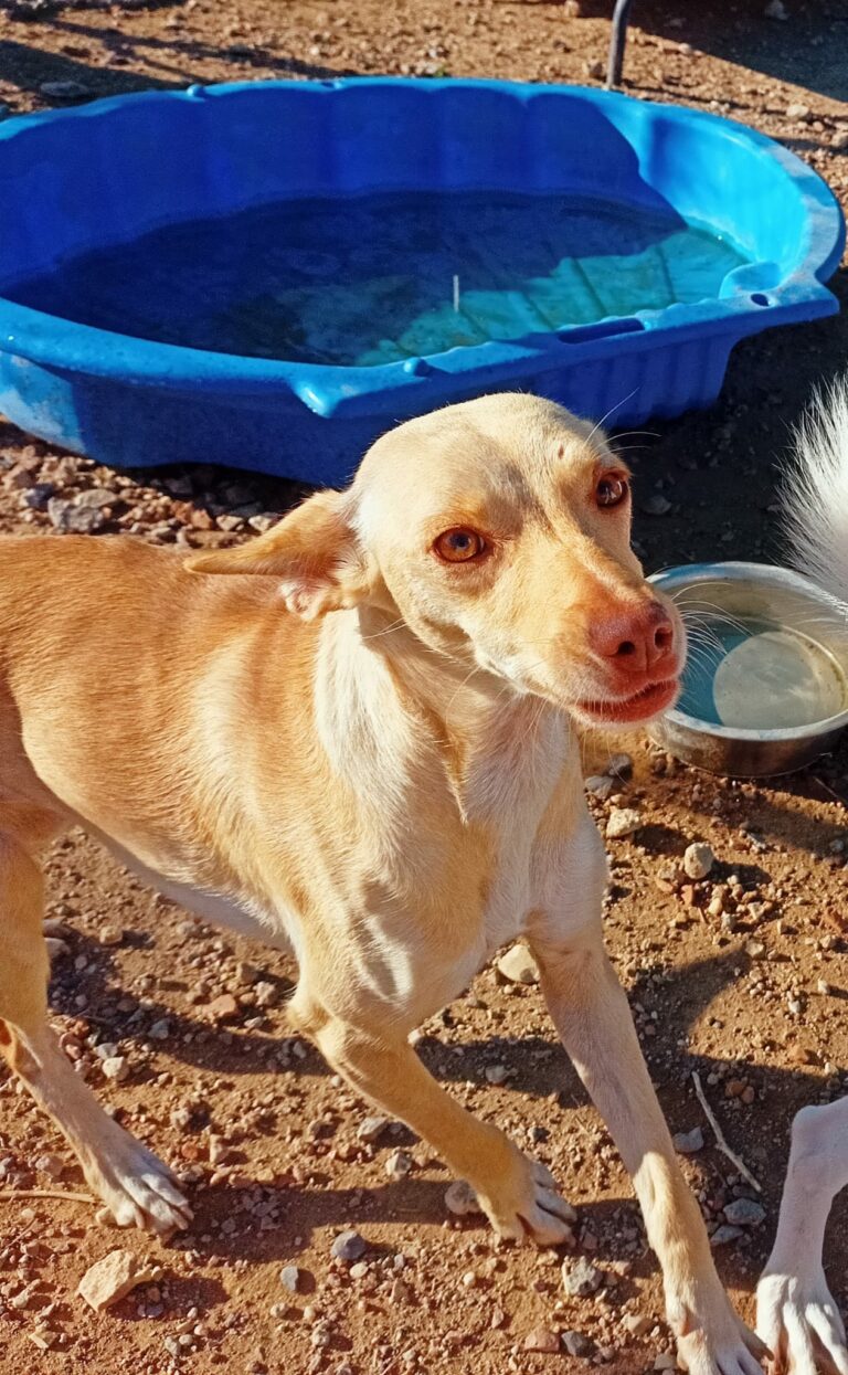 Sierra (jetzt Frida)