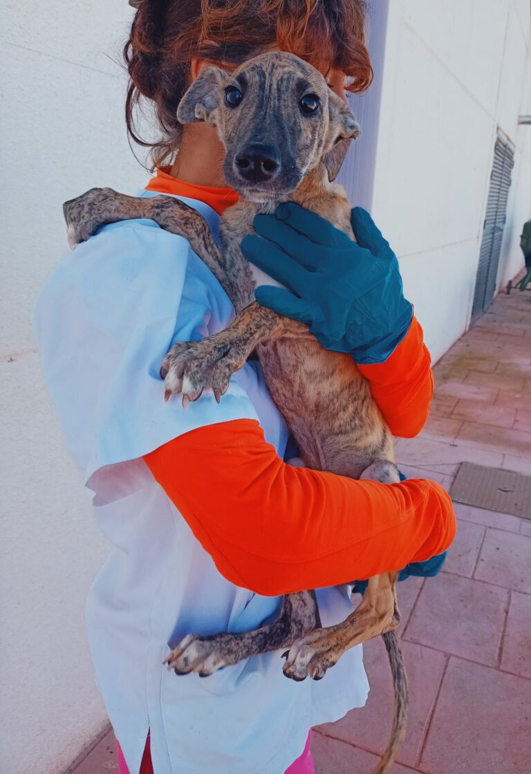 Milo