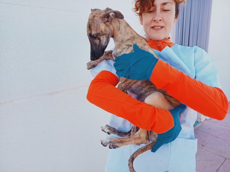 Milo