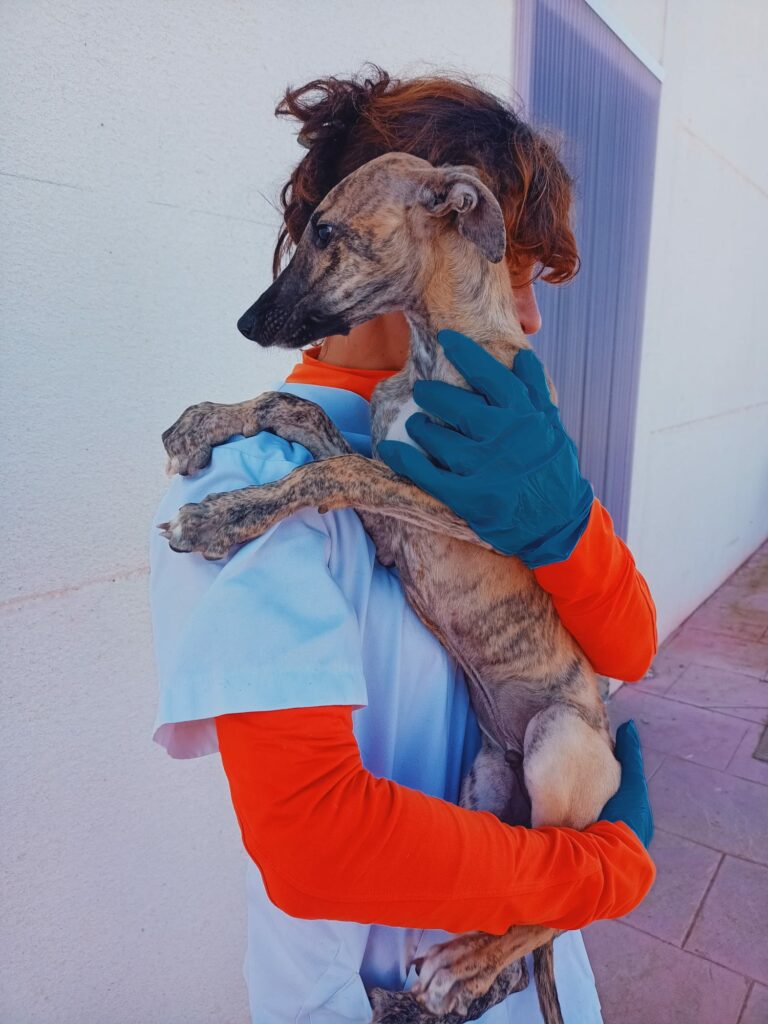 Milo