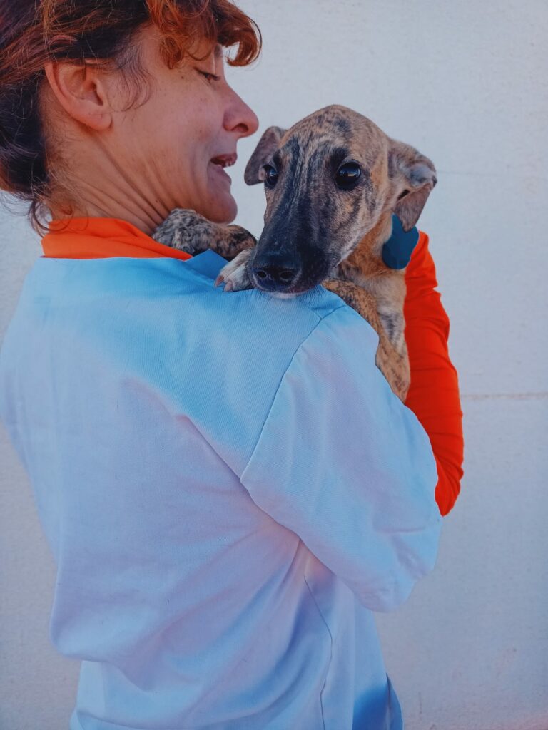 Milo