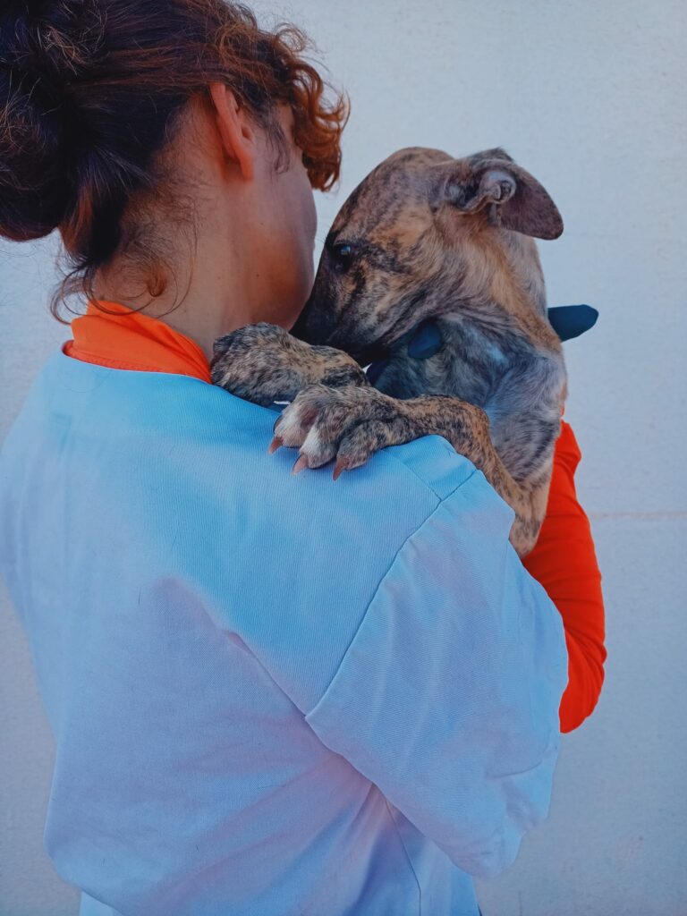 Milo