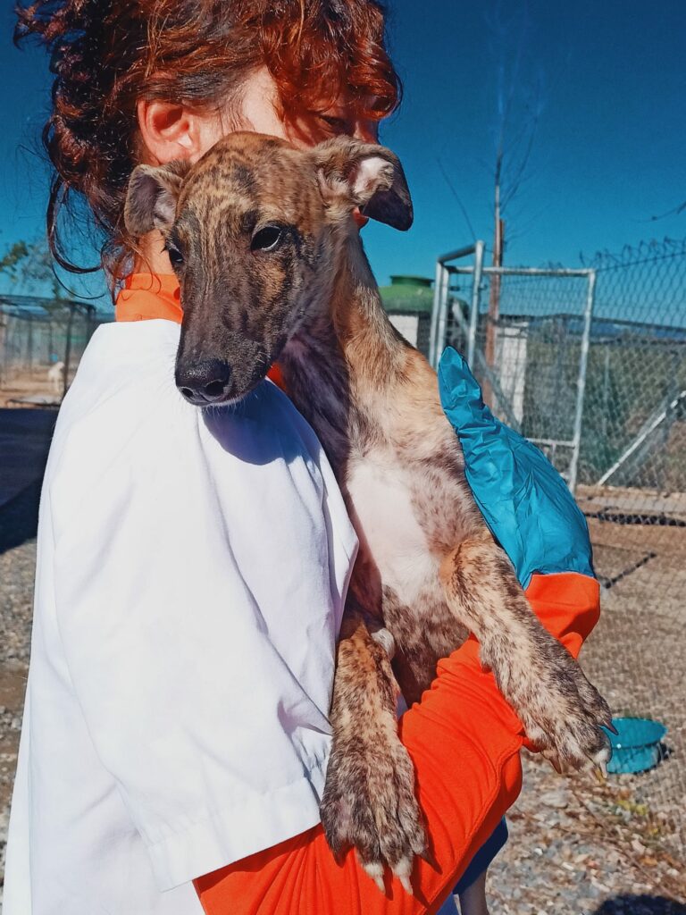 Milo
