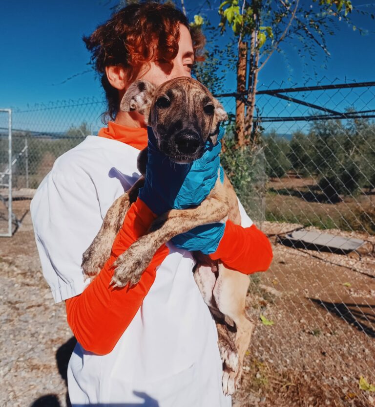 Milo
