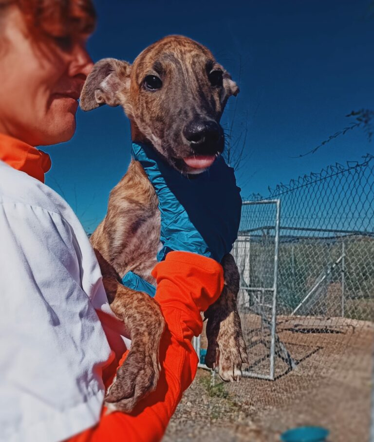 Milo
