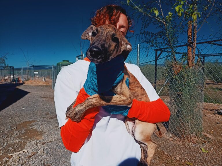 Milo