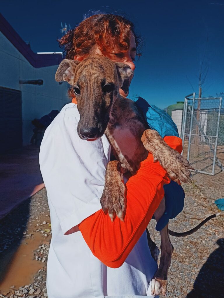 Milo