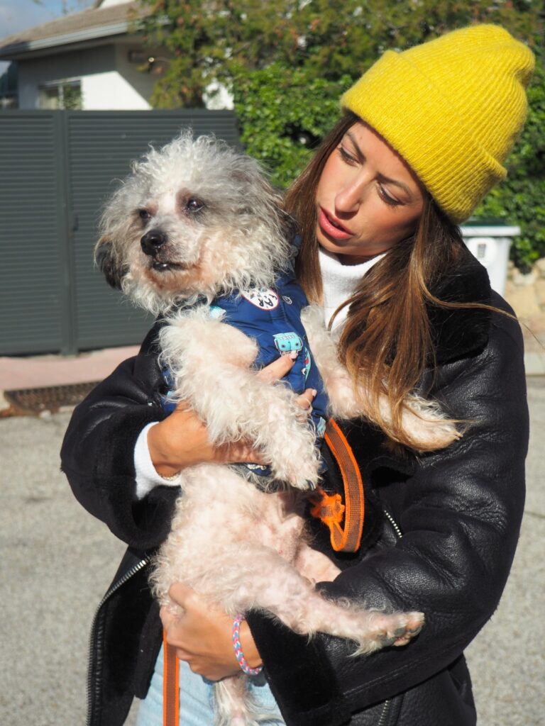 Toby