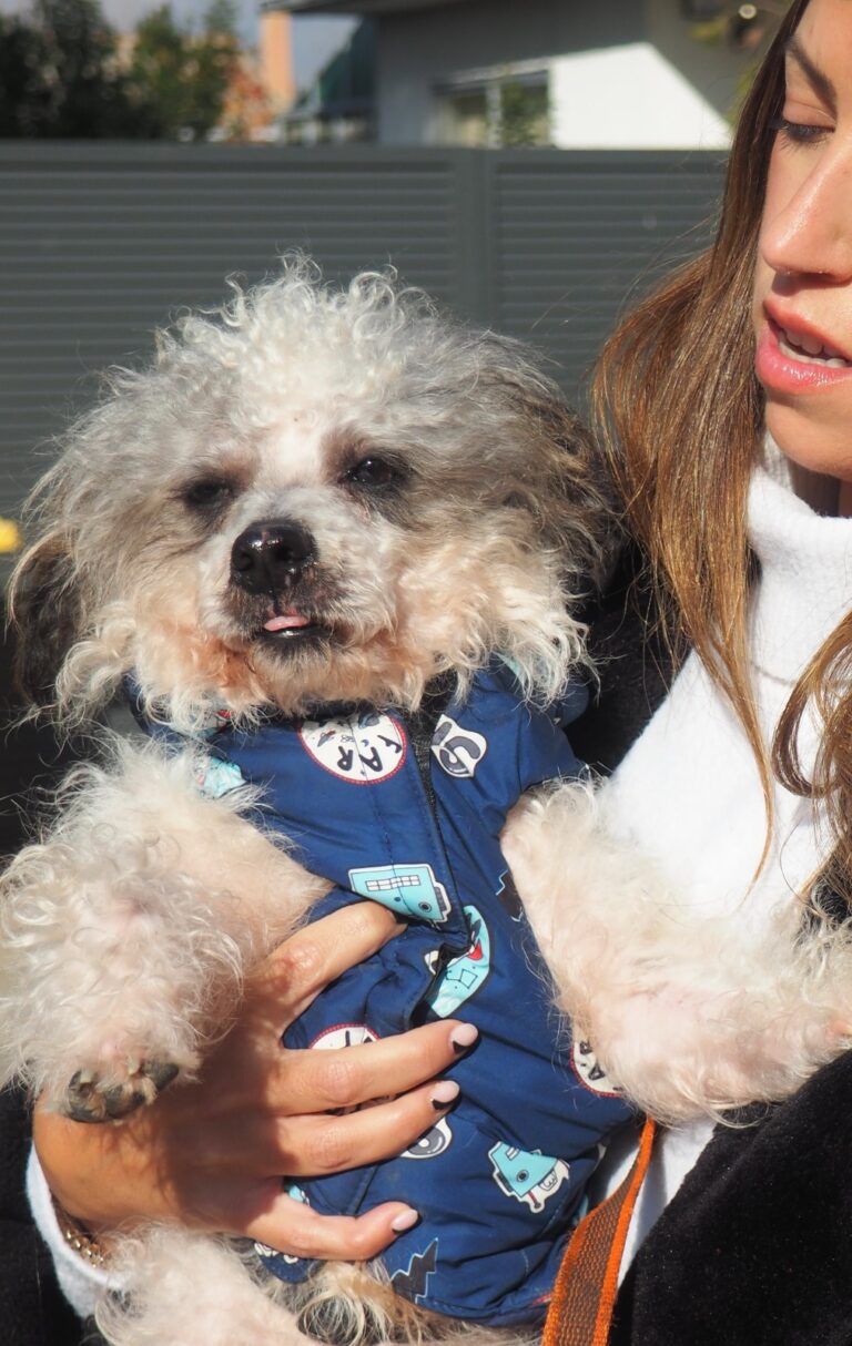 Toby