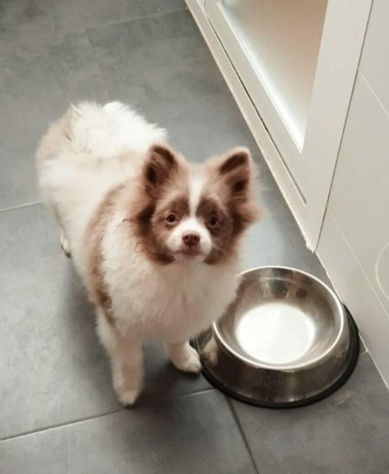 Hera
