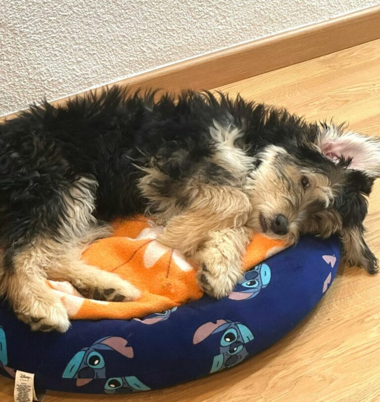Camilo