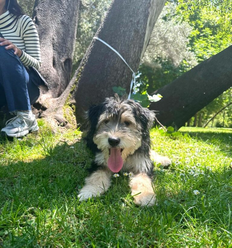 Camilo