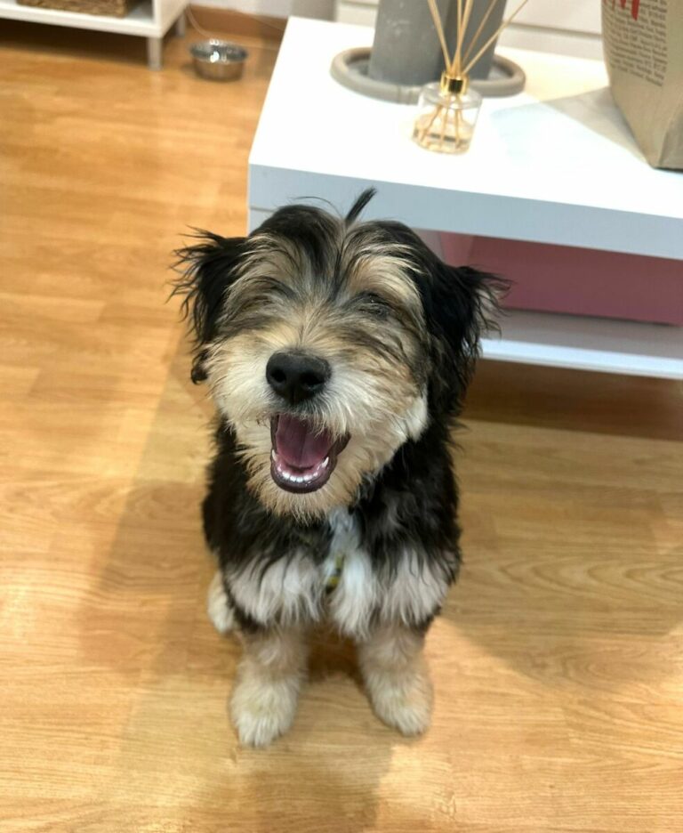 Camilo