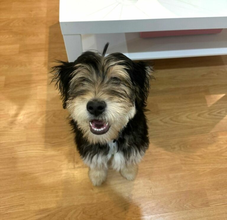 Camilo