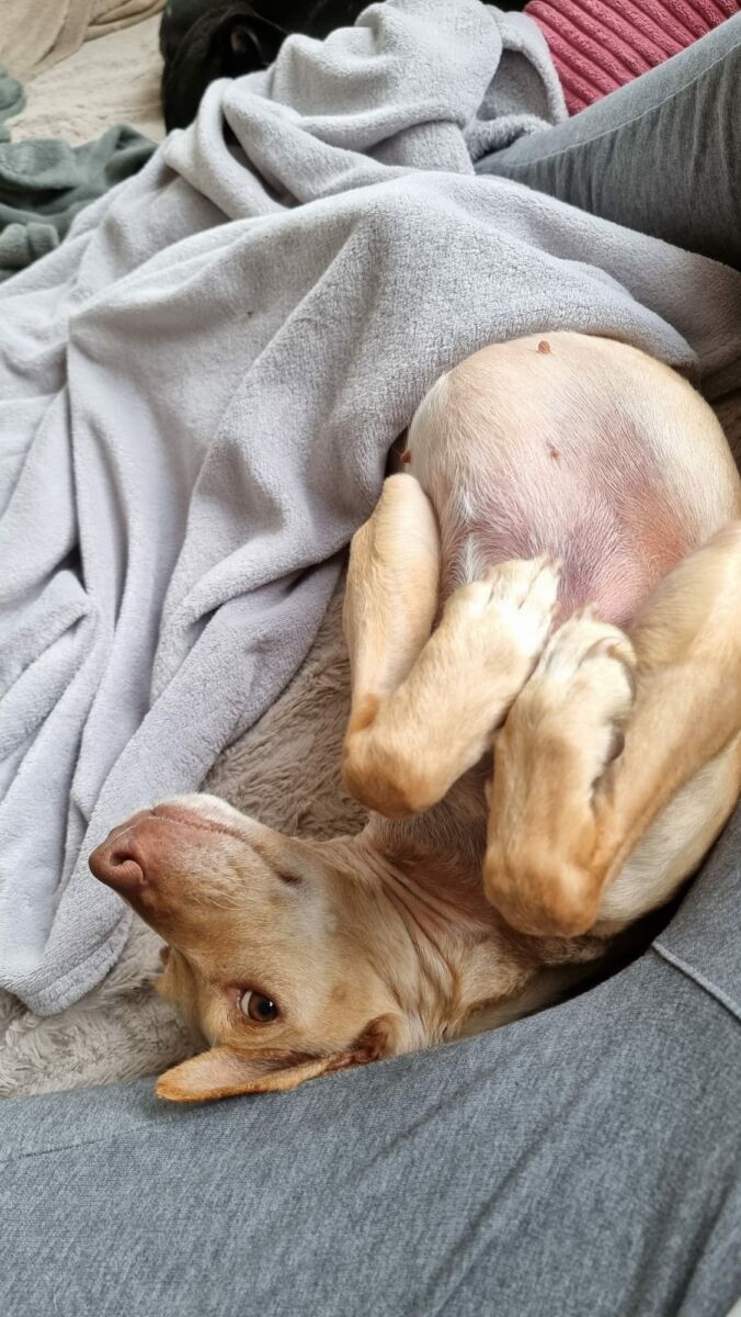 Sierra (jetzt Frida)