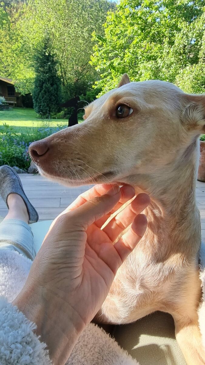 Sierra (jetzt Frida)