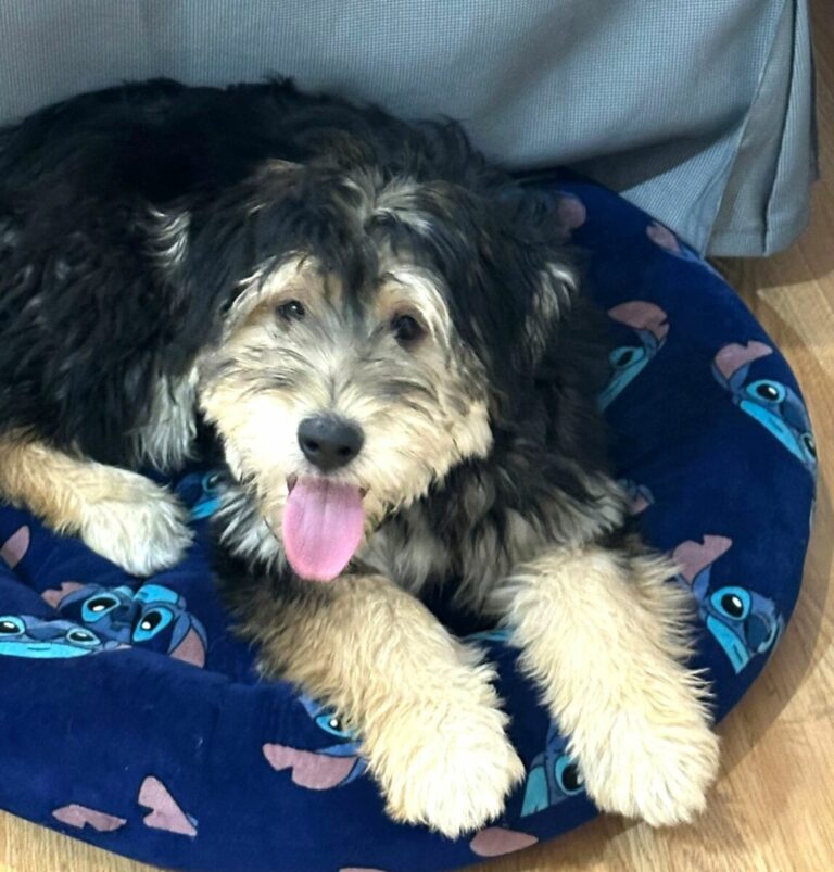 Camilo