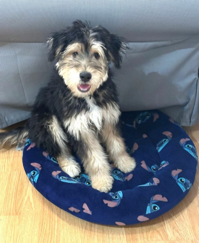 Camilo