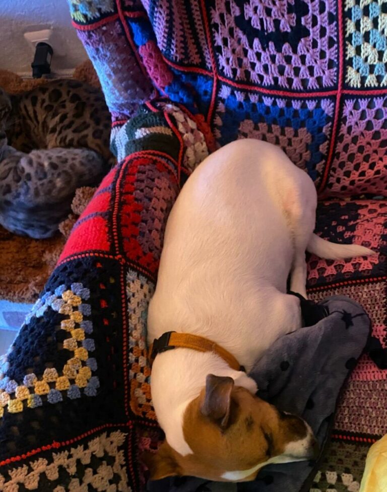 Max