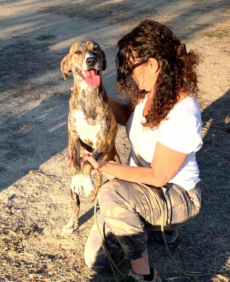 Zorba