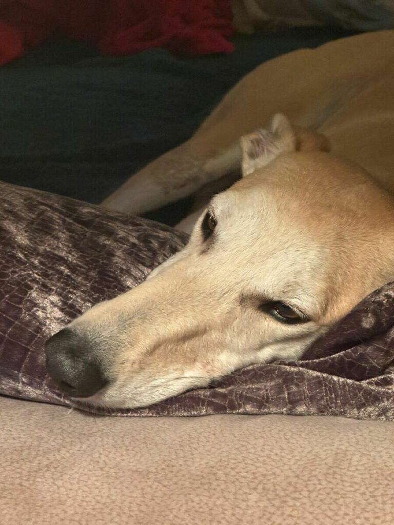 Coco