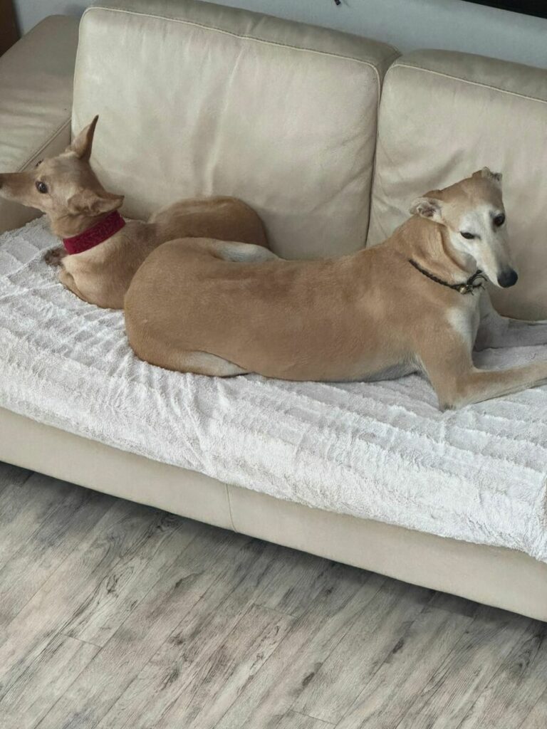 Coco