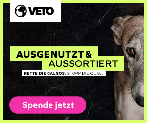 Spende jetzt Futter für die Aktion „Hilfe für Galgos in Not“ von VETO!