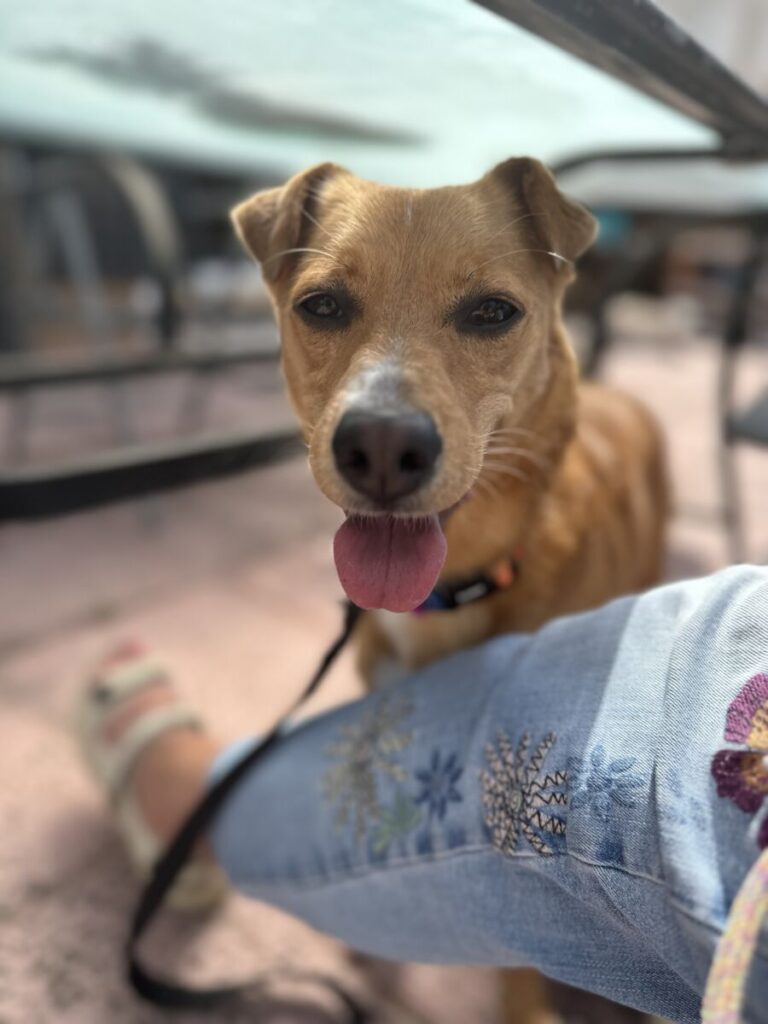 DORI