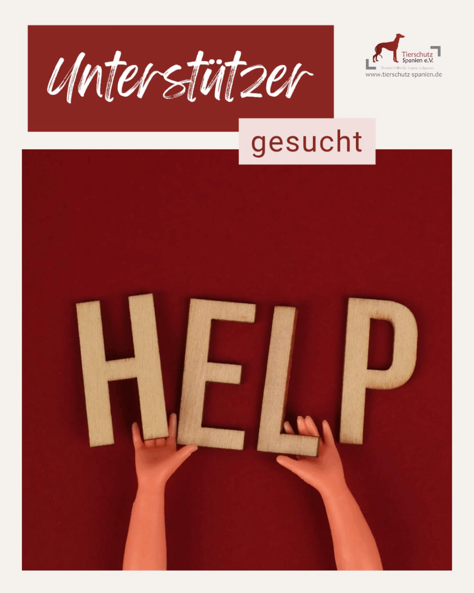 Werde Teil unseres Teams